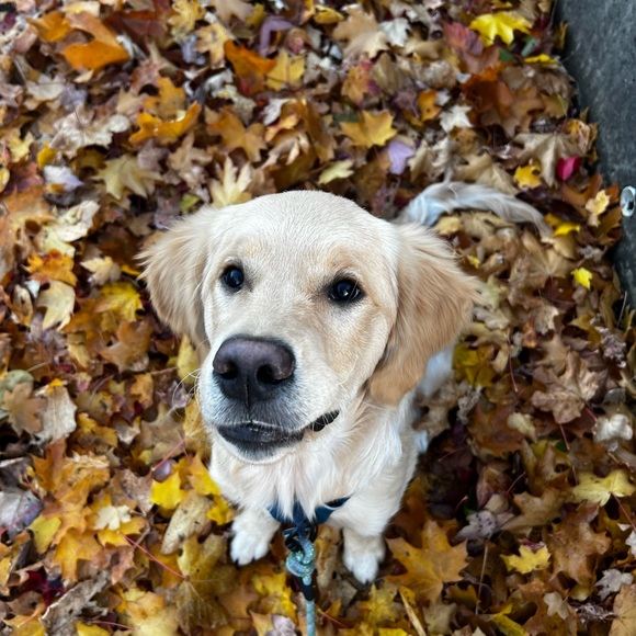 A little bit about me:) - Picture 7 of 11